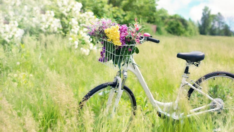 sommarcykel