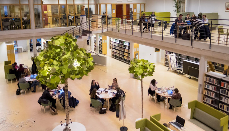 Bild på Linneuniversitetets bibliotek.